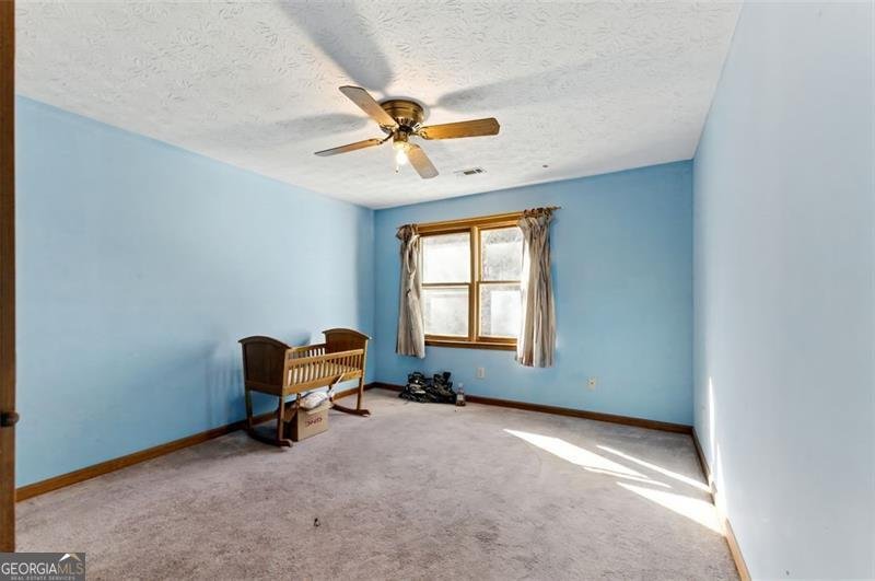 1505 OZORA Road Loganville - 21