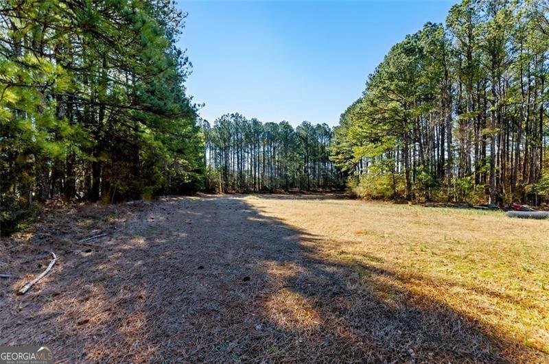 1505 OZORA Road Loganville - 32