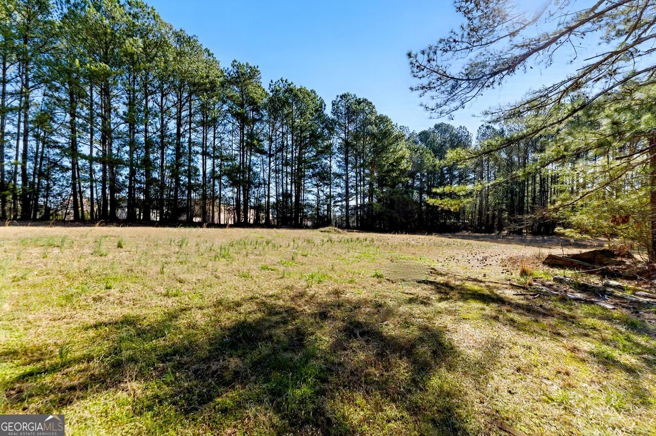 1505 OZORA Road Loganville - 35