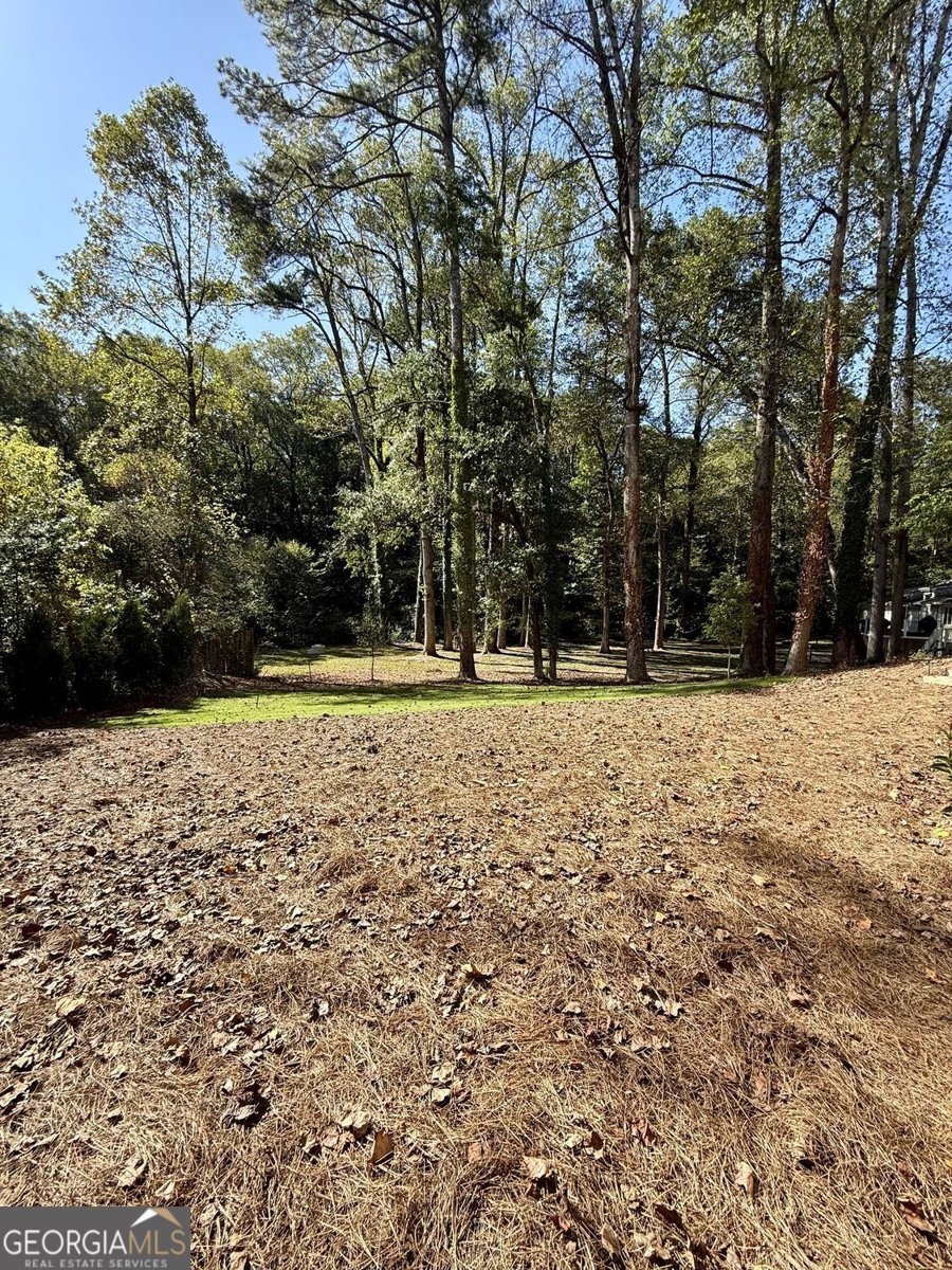 4524 Mystic Drive Sandy Springs - 89