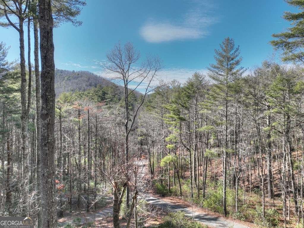 212 Dream Cove Road Blue Ridge - 9