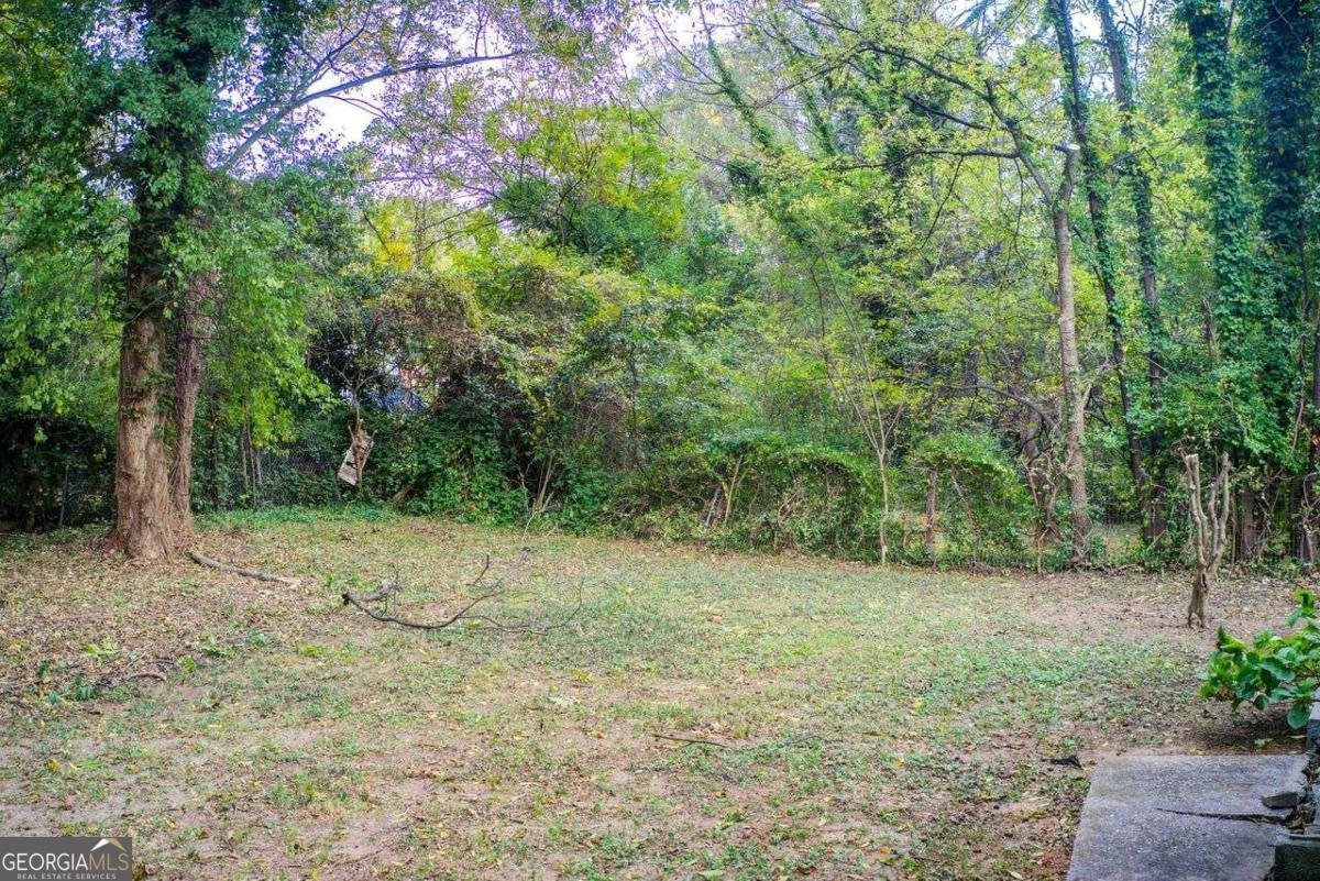 1351 EASON Street Atlanta - 30