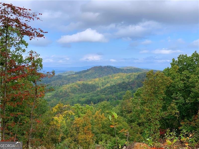 229 Stirratt Road Ranger - 31