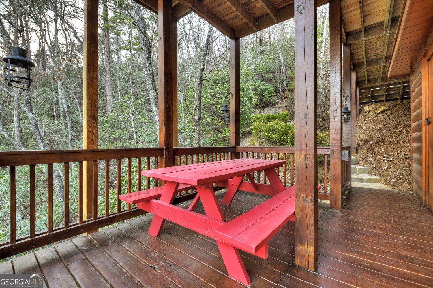 411 Ridge Trail Blue Ridge - 30