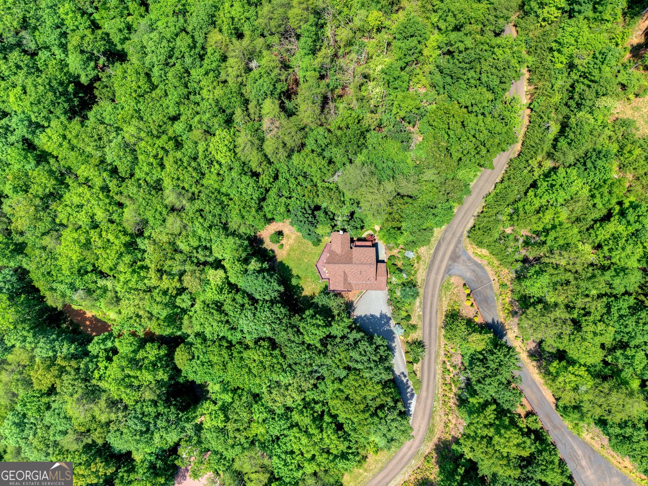 411 Ridge Trail Blue Ridge - 52
