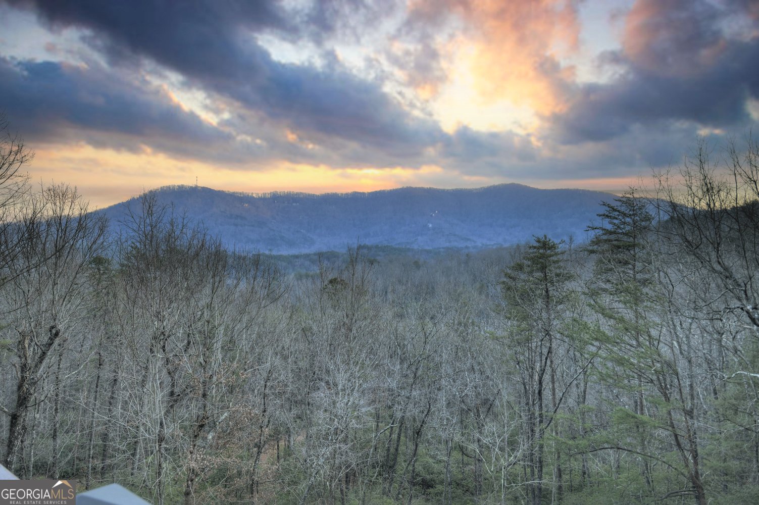 411 Ridge Trail Blue Ridge - 7