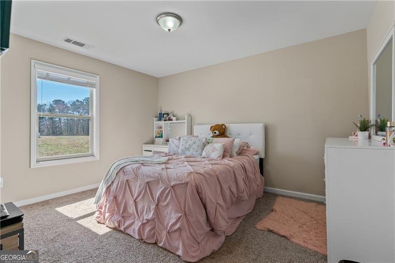 663 Wheeler Road Demorest - 19