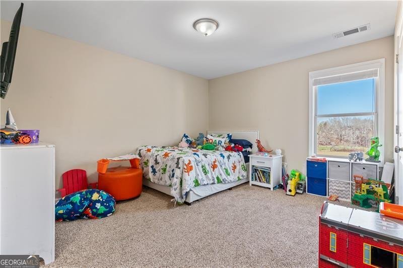 663 Wheeler Road Demorest - 20