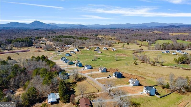 663 Wheeler Road Demorest - 33