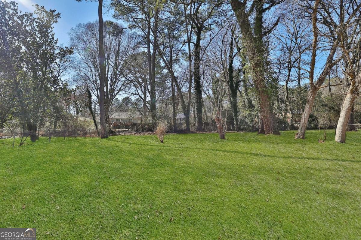 3047 Horse Shoe Drive Atlanta - 21