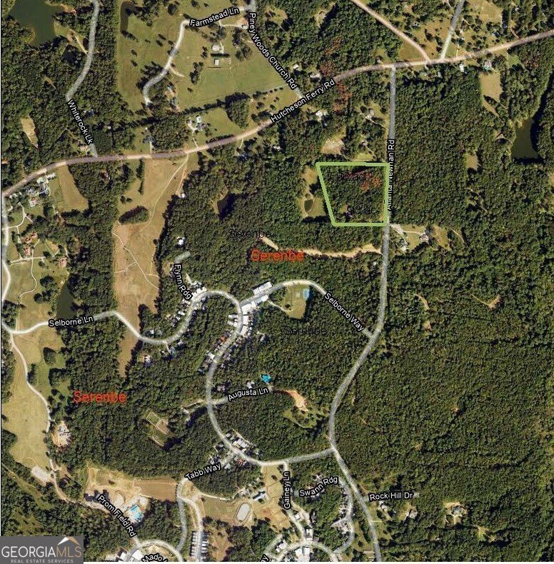 8395 Atlanta Newnan Road Chattahoochee Hills - 2