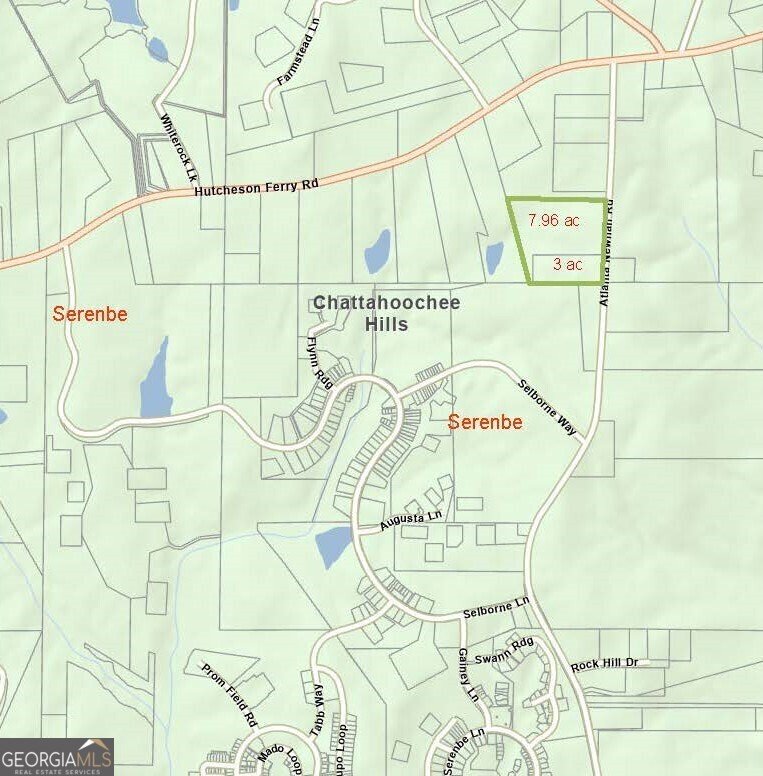 8395 Atlanta Newnan Road Chattahoochee Hills - 3