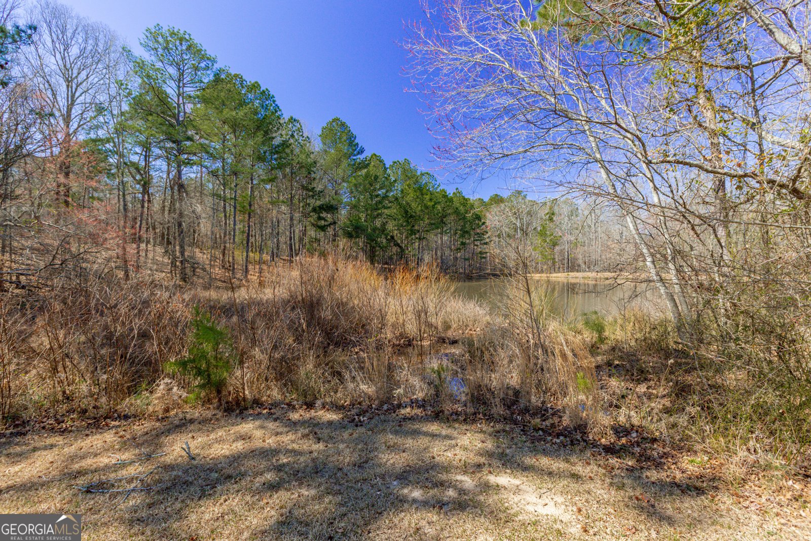140 Surrey Park Drive Fayetteville - 58