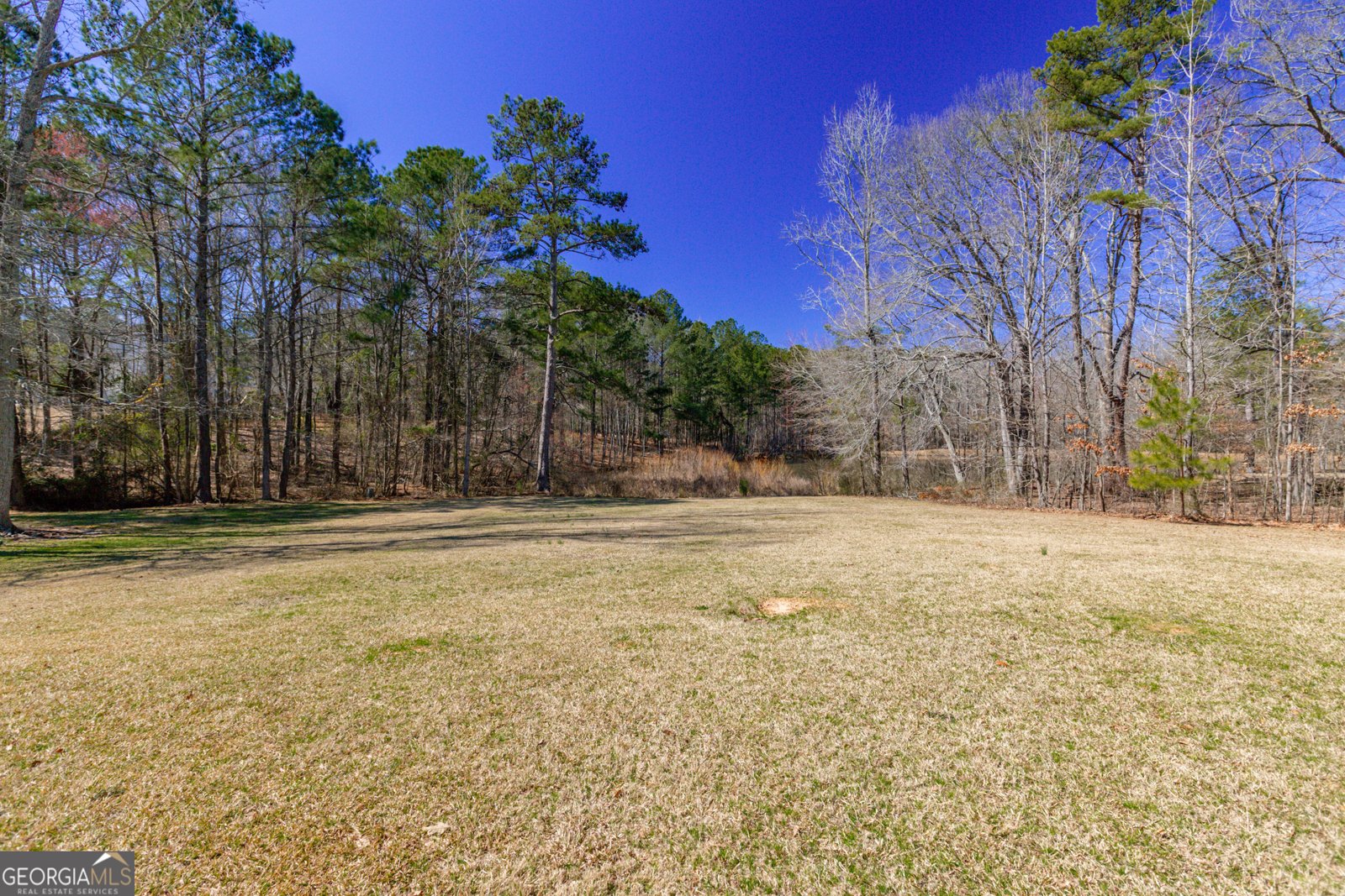 140 Surrey Park Drive Fayetteville - 59