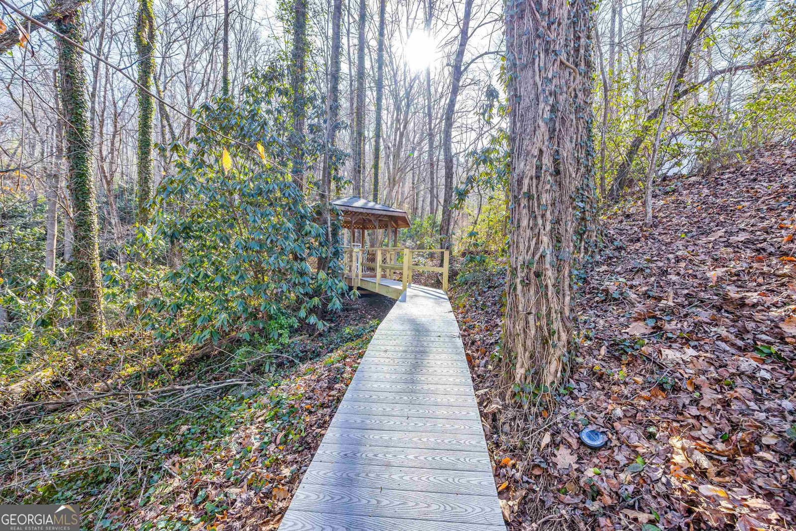 153 Coleman Heights Lane Rabun Gap - 39