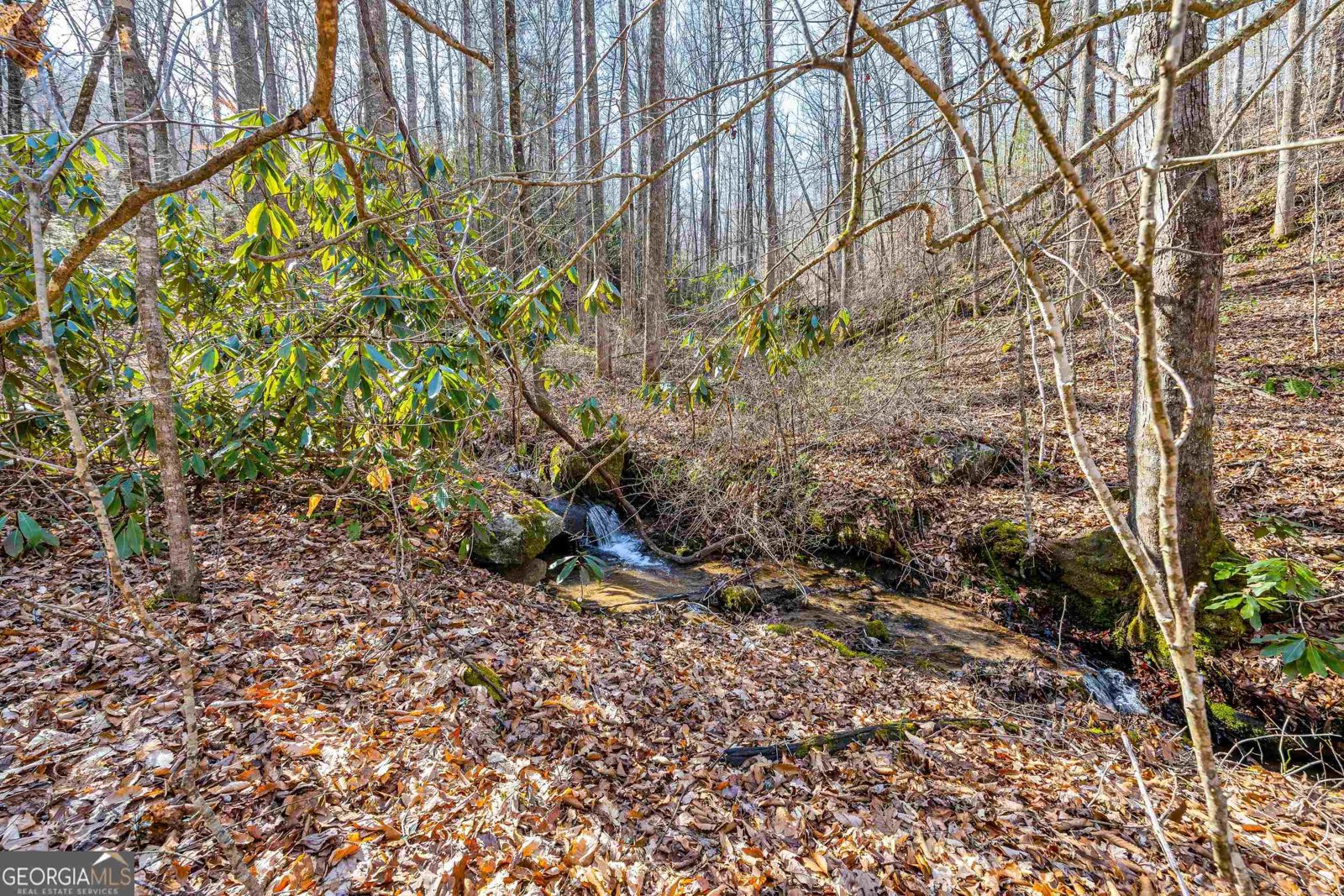 153 Coleman Heights Lane Rabun Gap - 53