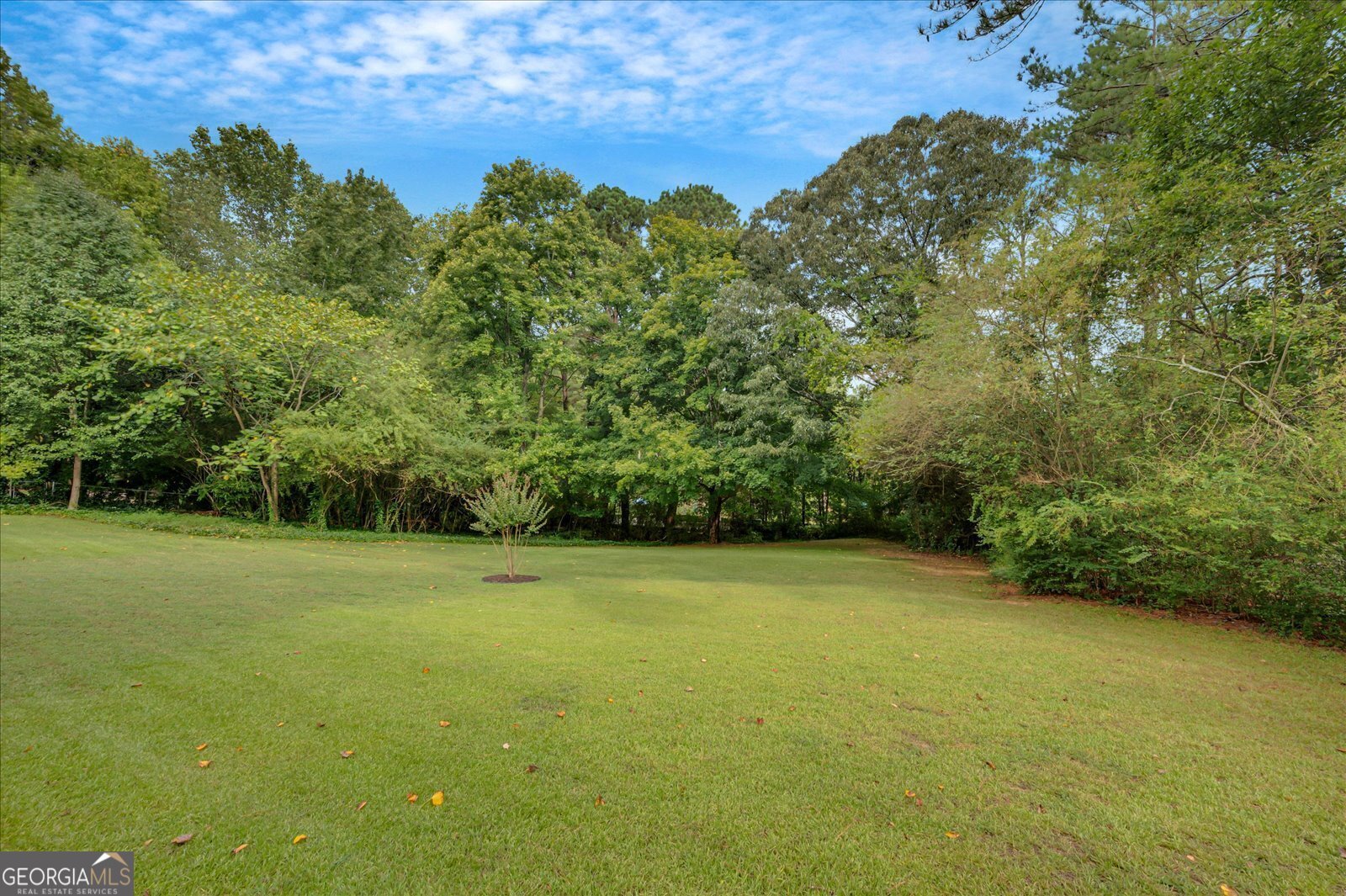 12040 Old Mountain Park Road Roswell - 26