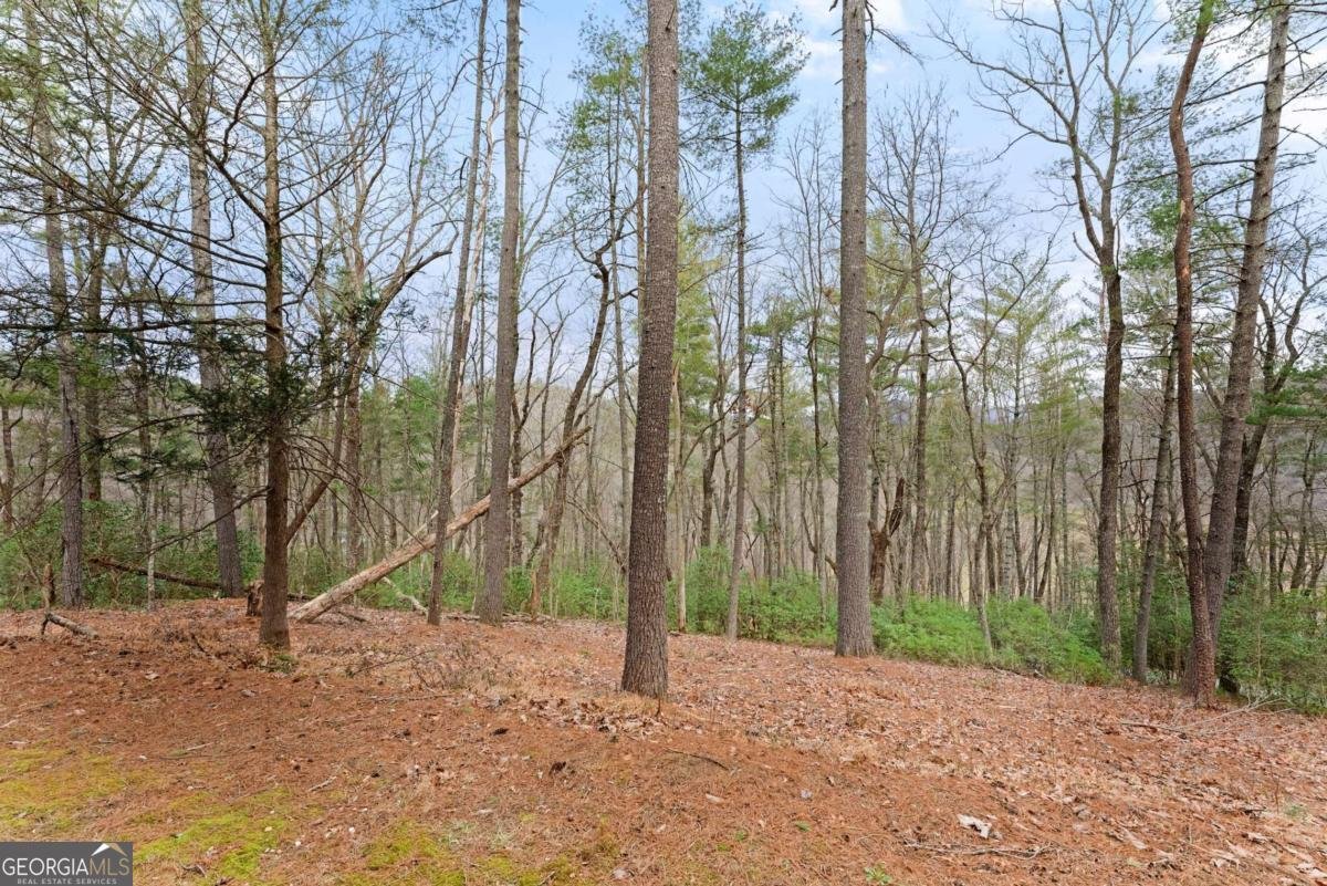 300 Highland Trail Cleveland - 26