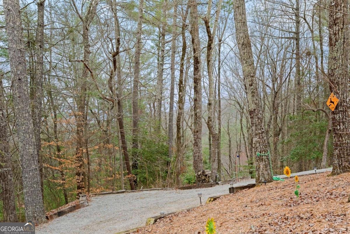 300 Highland Trail Cleveland - 28
