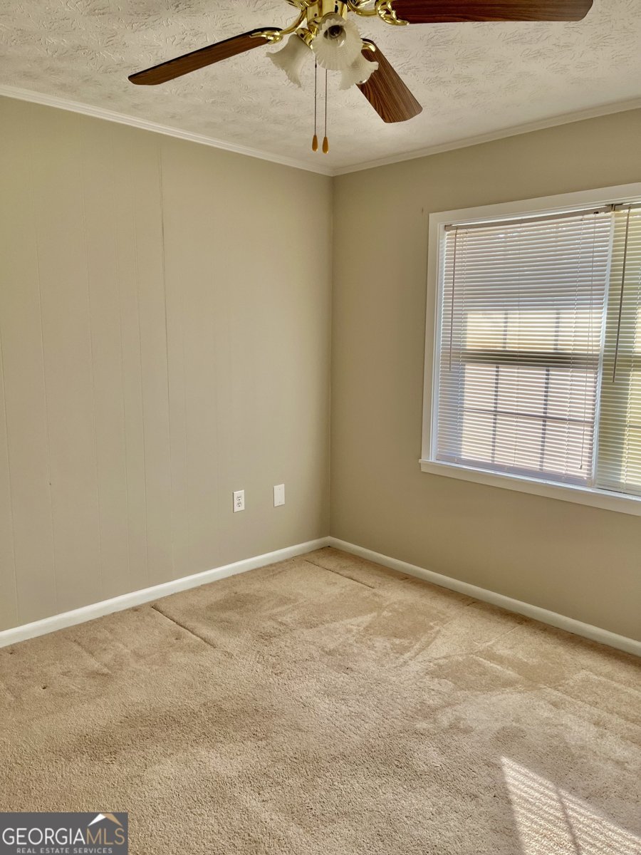 4582 Saint Johns Church Road Blackshear - 20