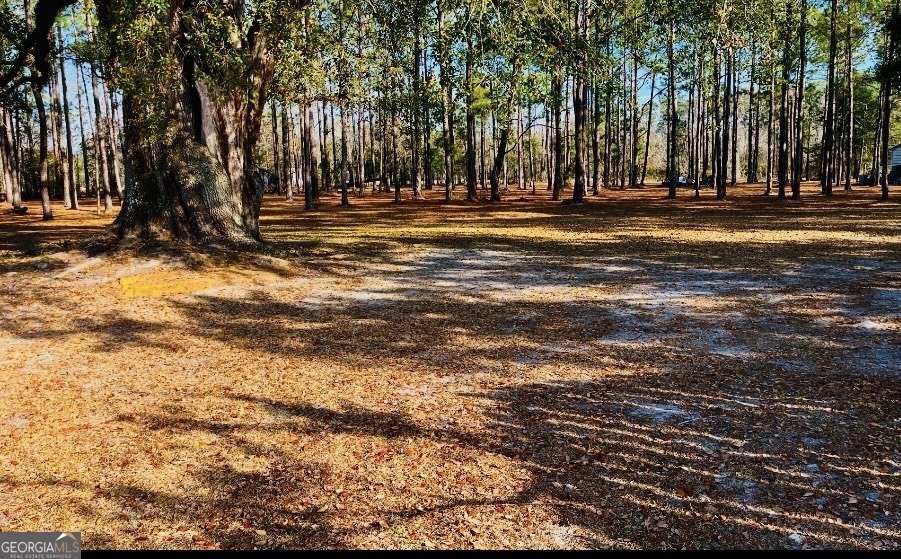 4582 Saint Johns Church Road Blackshear - 50