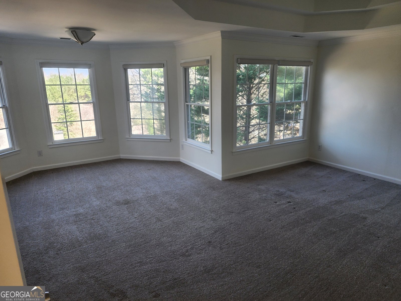 718 Avalon Way Peachtree City - 73