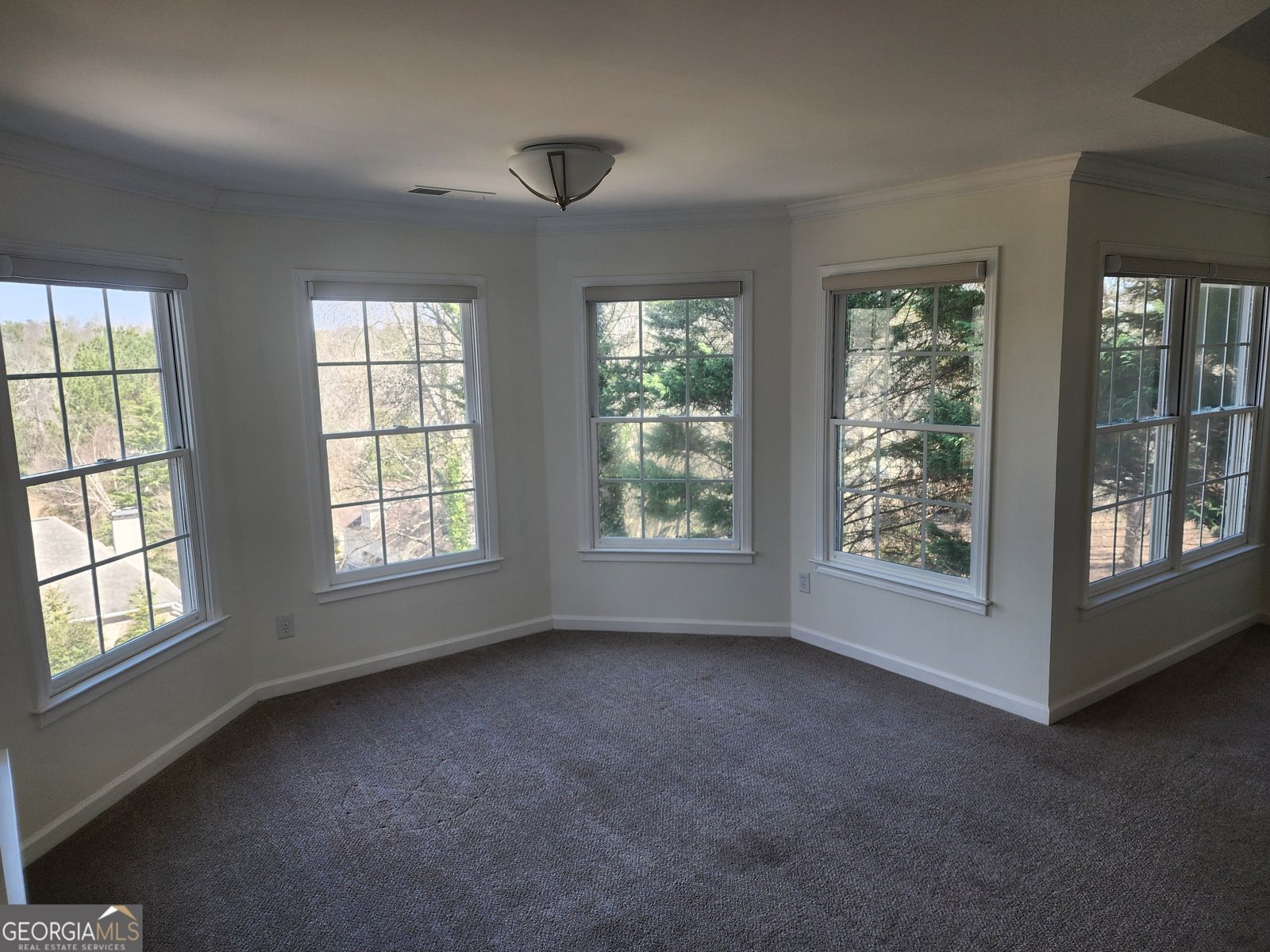 718 Avalon Way Peachtree City - 87
