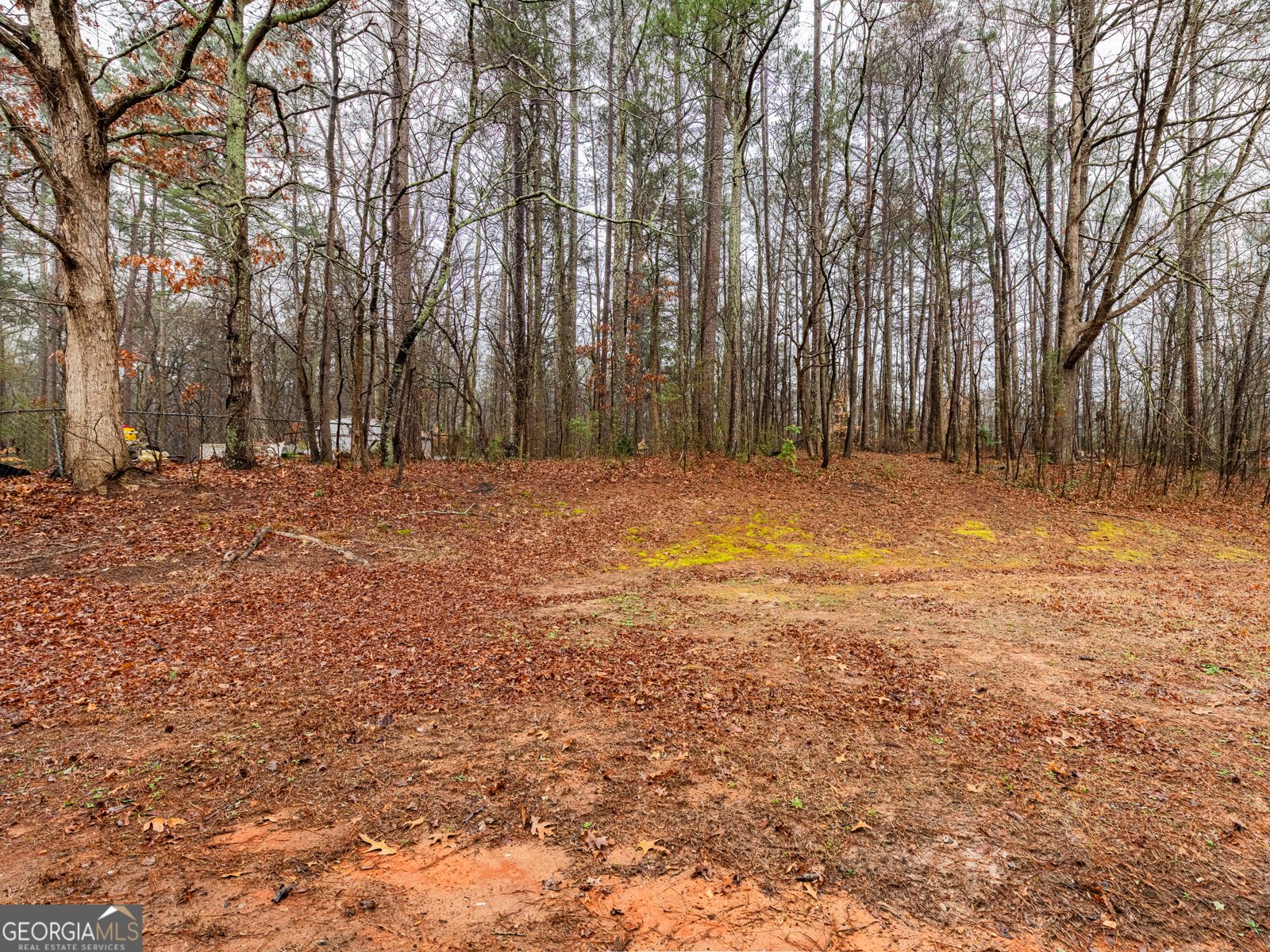 3564 Sage Drive Lithia Springs - 19