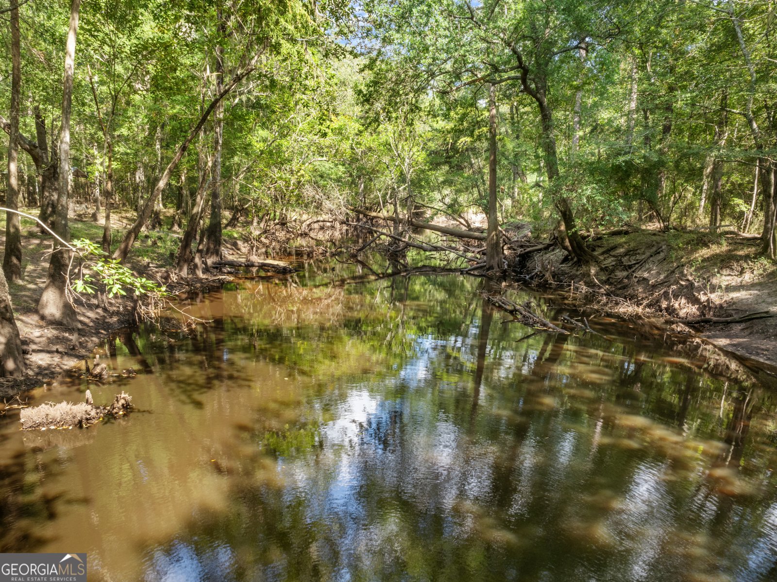 628 Riverside Drive Claxton - 2