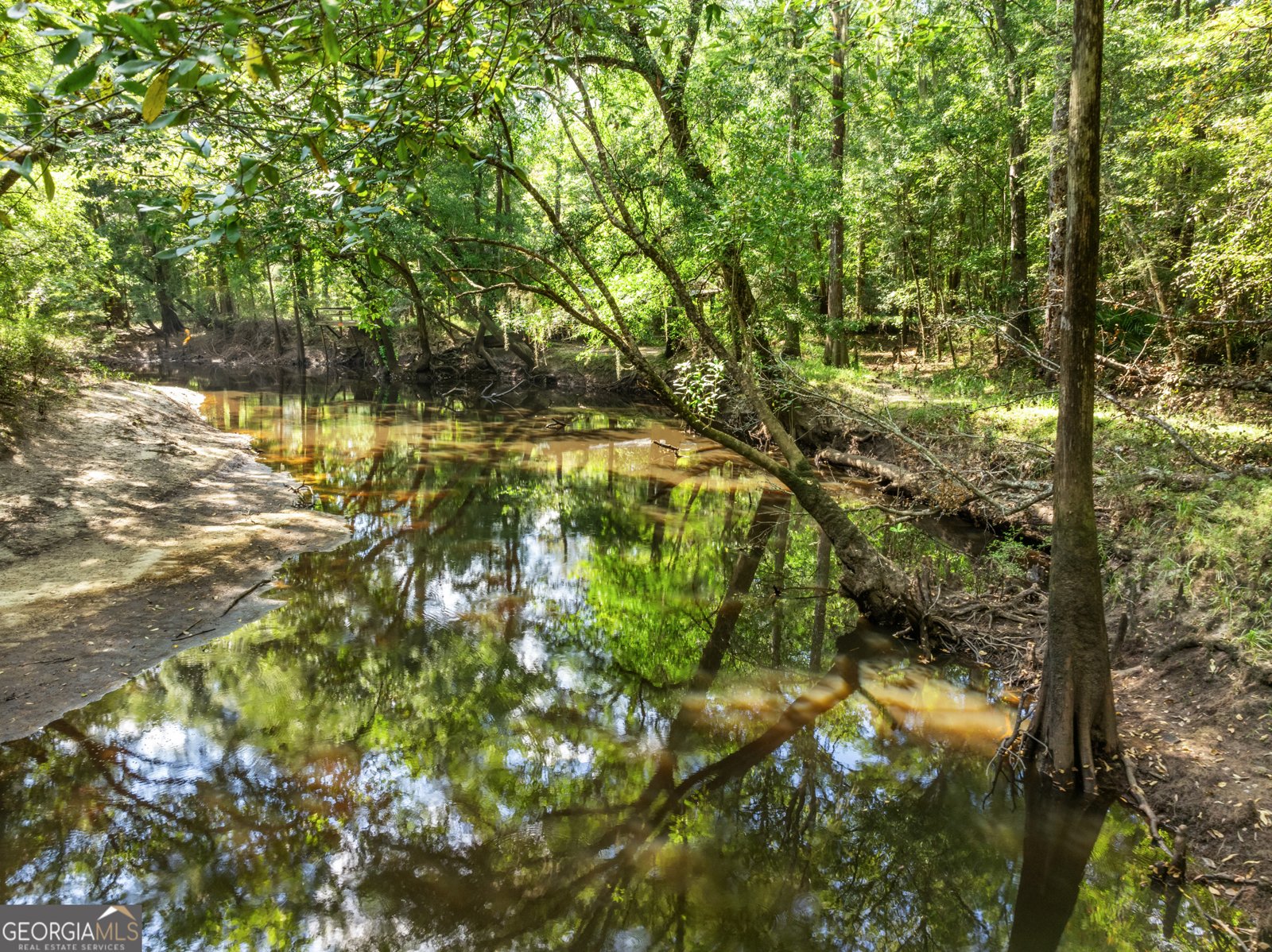 628 Riverside Drive Claxton - 3