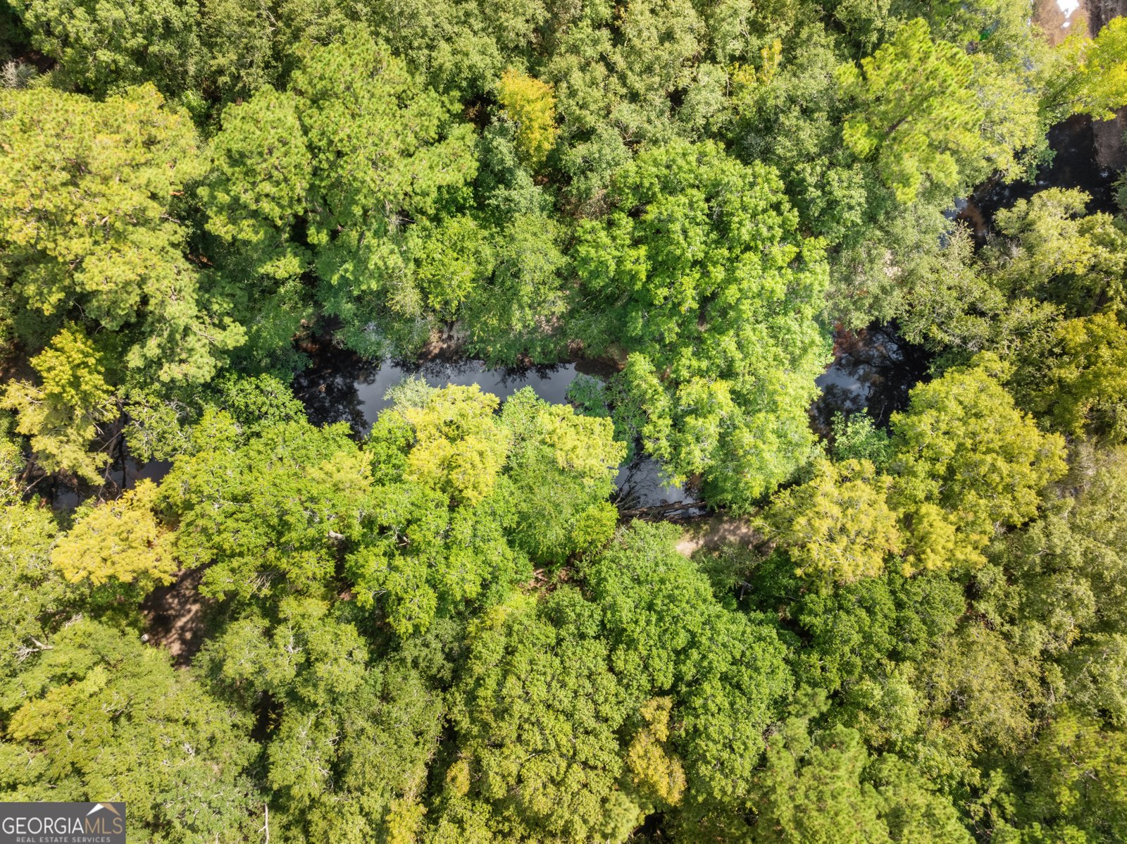 628 Riverside Drive Claxton - 30