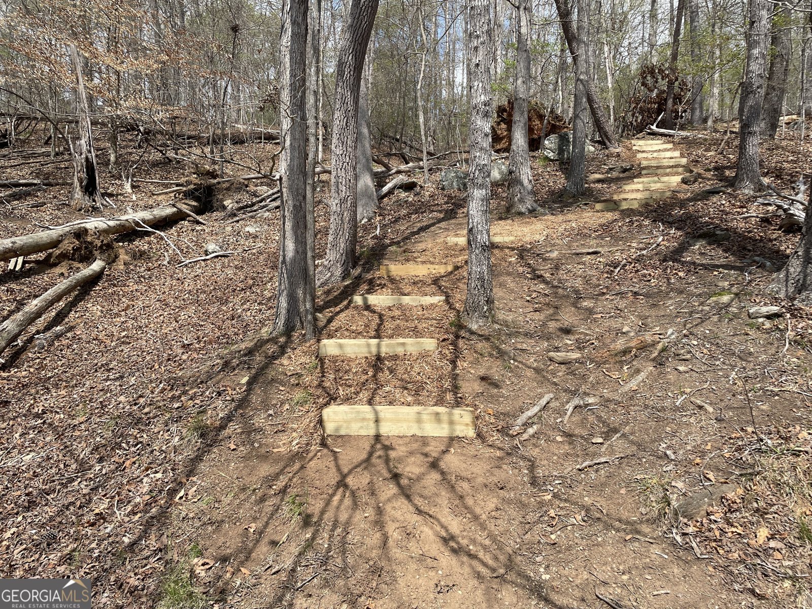 4635 Circle Drive Oakwood - 49