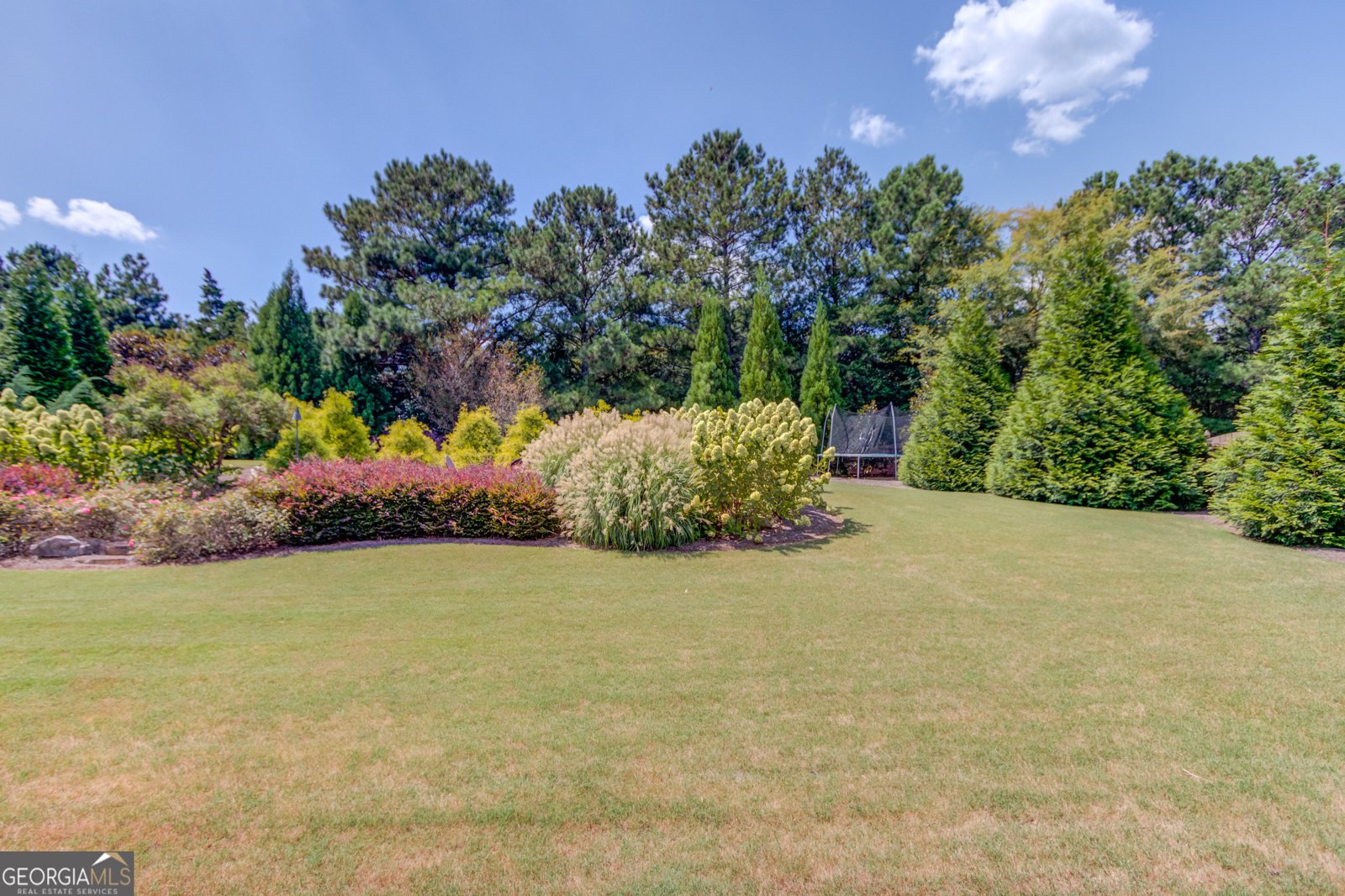 1433 Henderson Ridge Lane Loganville - 31