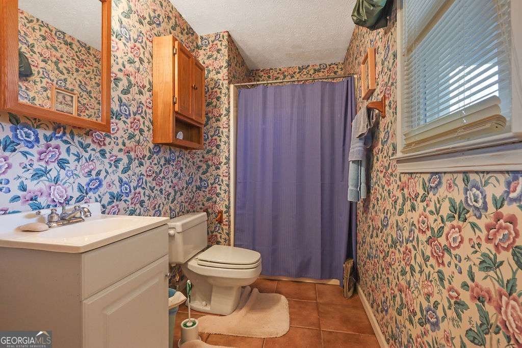 210 Meadow View Drive Grayson - 27