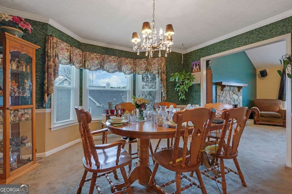 210 Meadow View Drive Grayson - 3