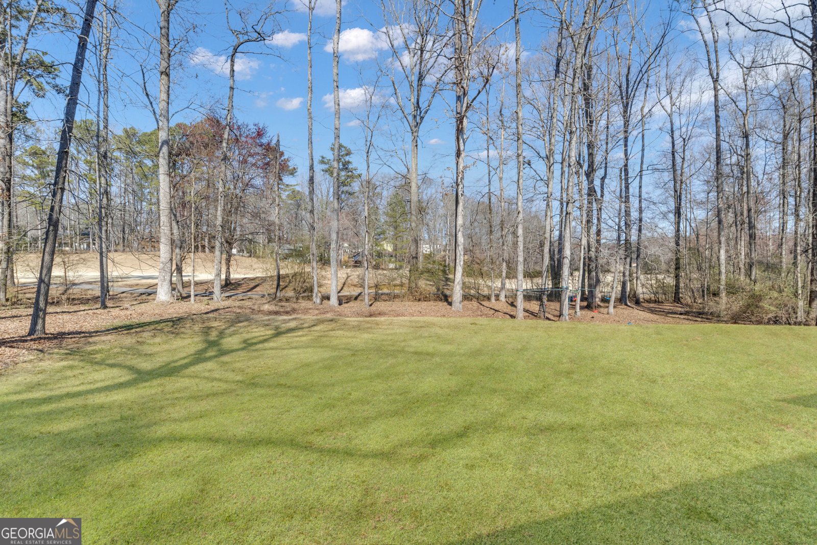 5 Buttonbush Court Newnan - 44