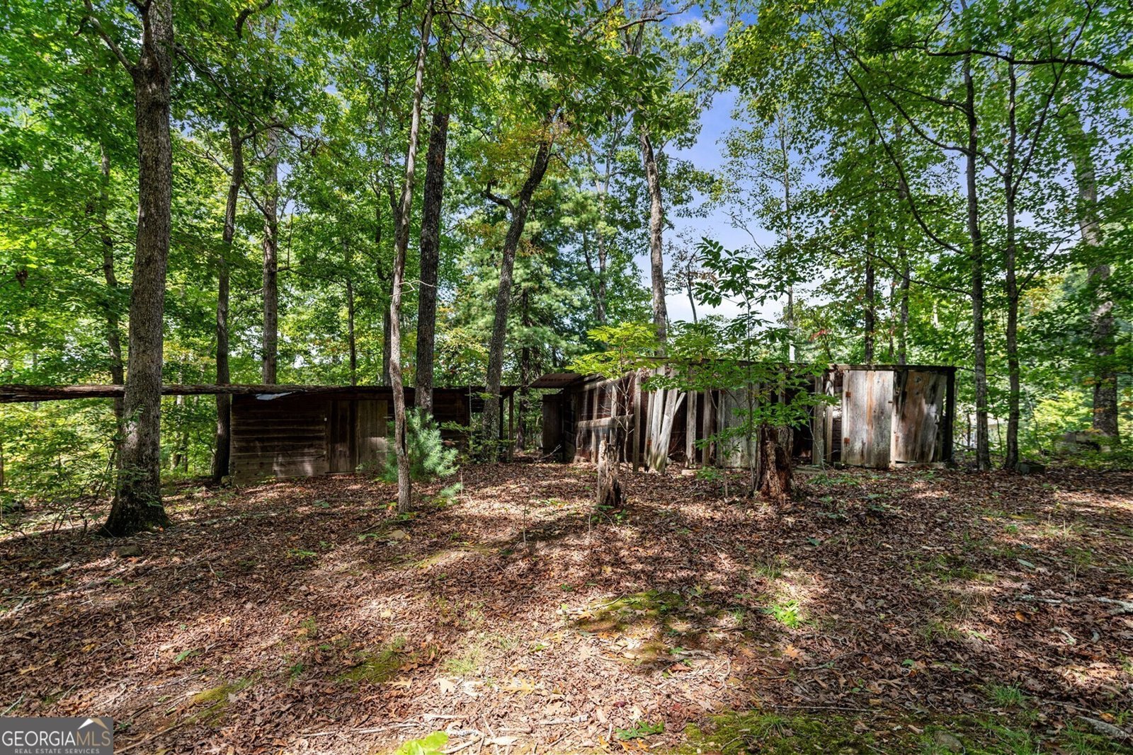 788 Lake Forest Drive Blue Ridge - 11
