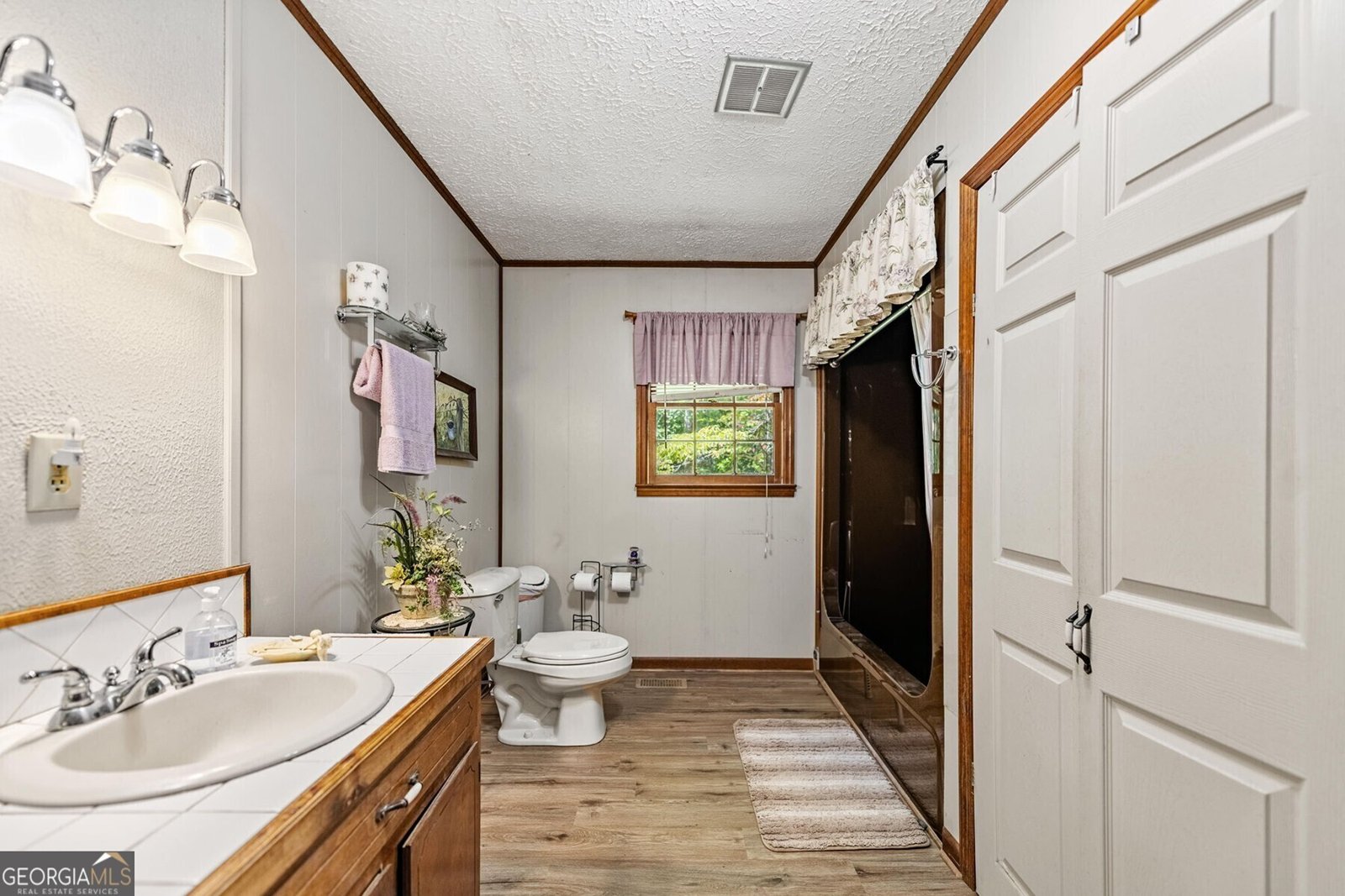 788 Lake Forest Drive Blue Ridge - 19