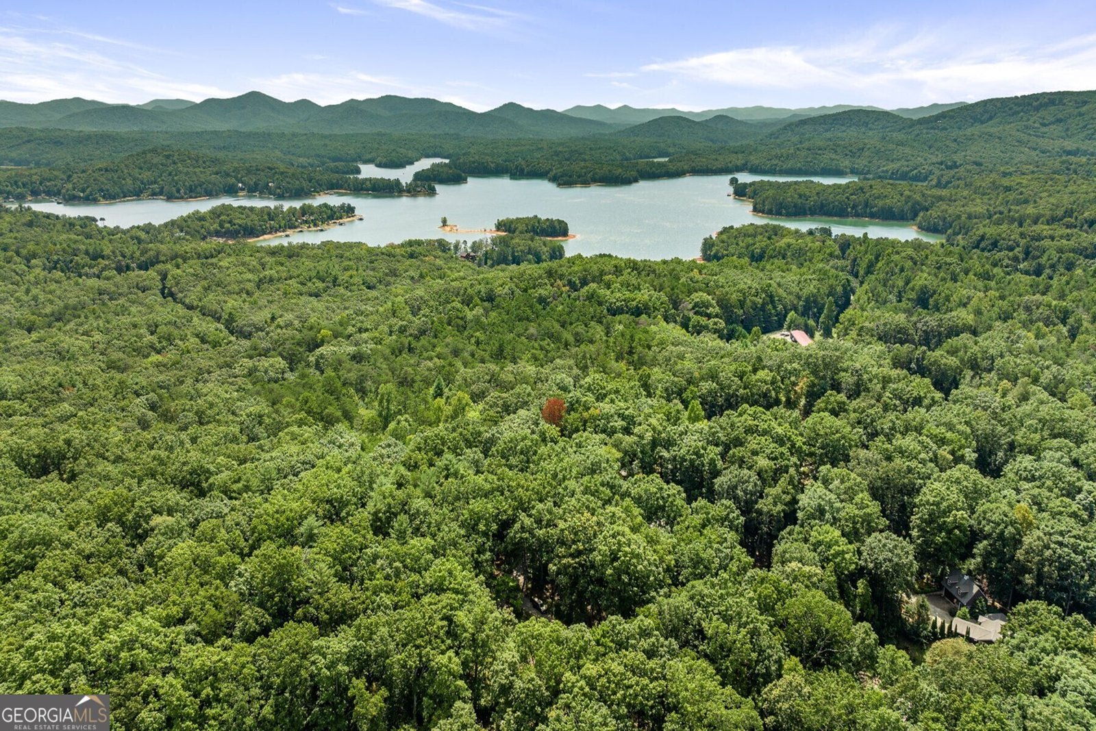 788 Lake Forest Drive Blue Ridge - 3