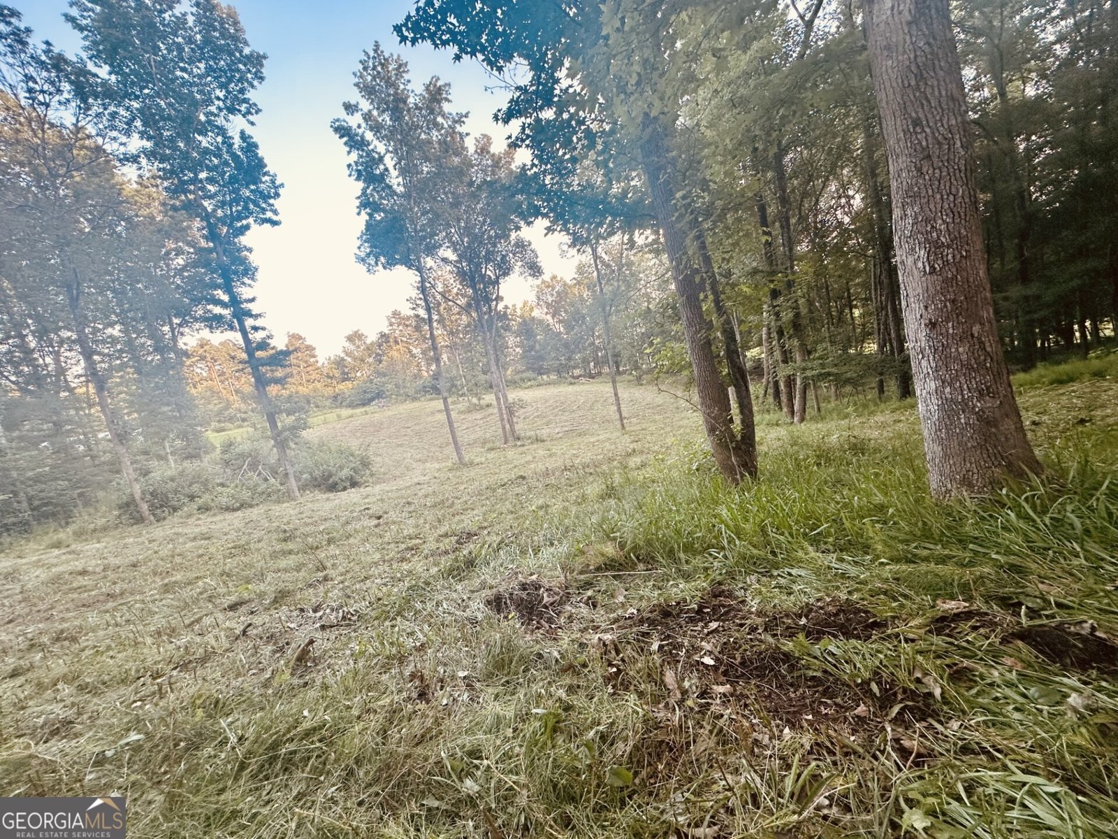 285 Skeet Shoot Road Dallas - 66