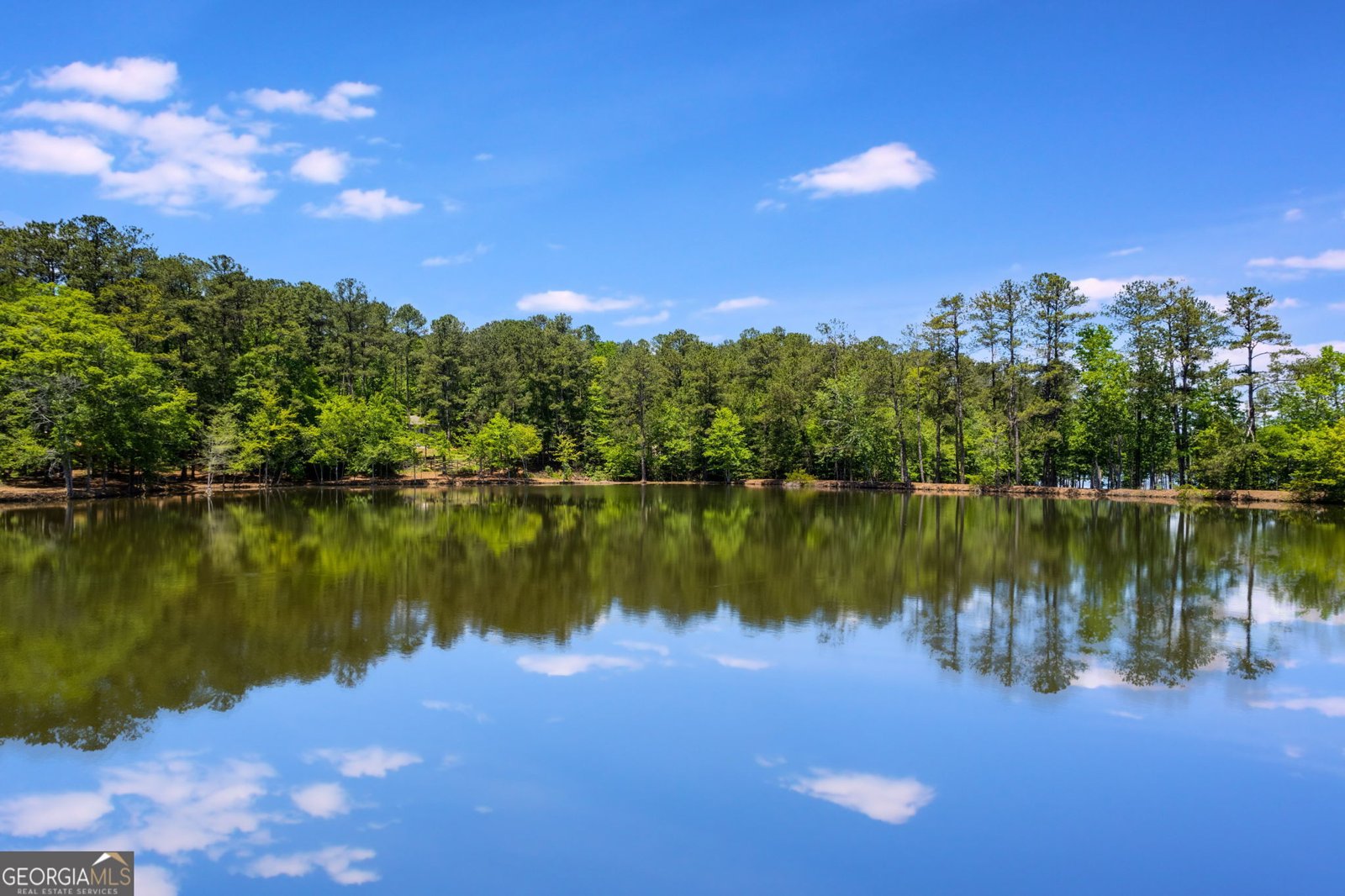 110 Pond View Point Lagrange - 57