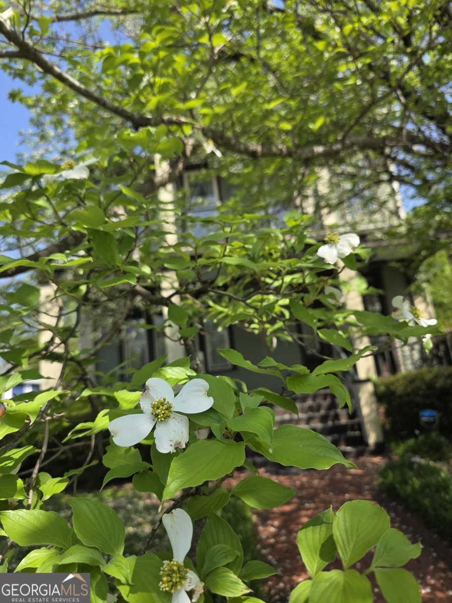 215 7th Street Columbus - 51