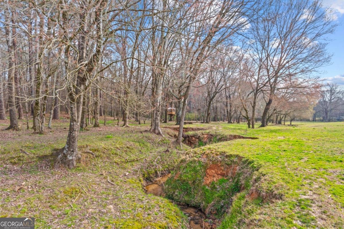 1300 Baldwin Dairy Road Buckhead - 63