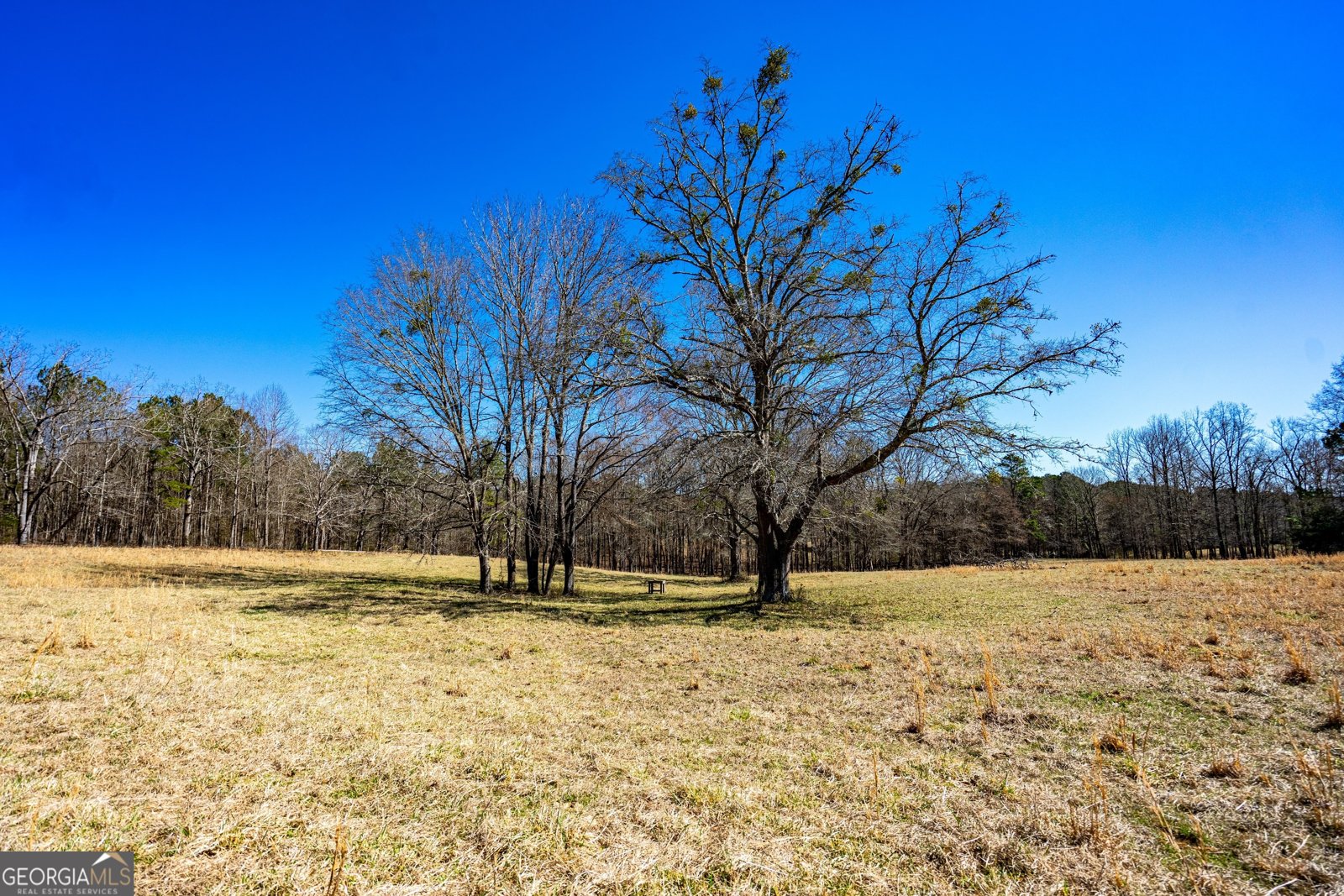 3913 Whitesville Road LaGrange - 61