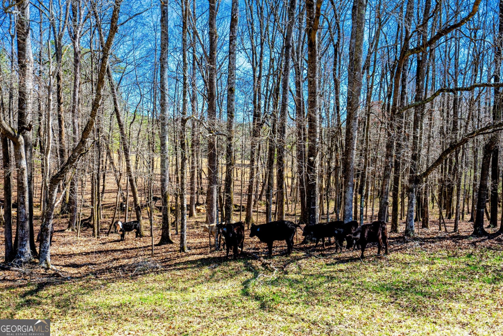 3913 Whitesville Road LaGrange - 62