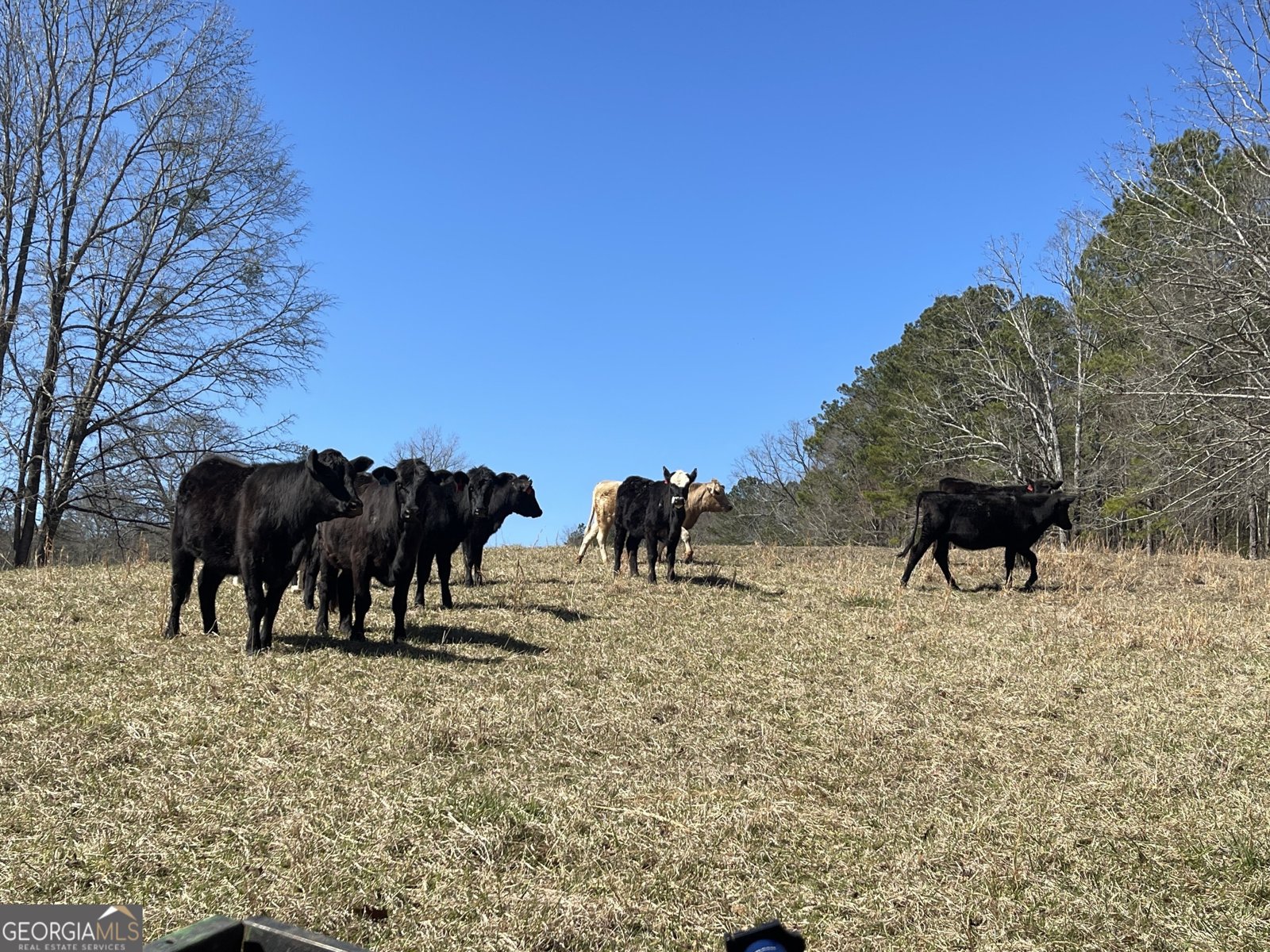 3913 Whitesville Road LaGrange - 63