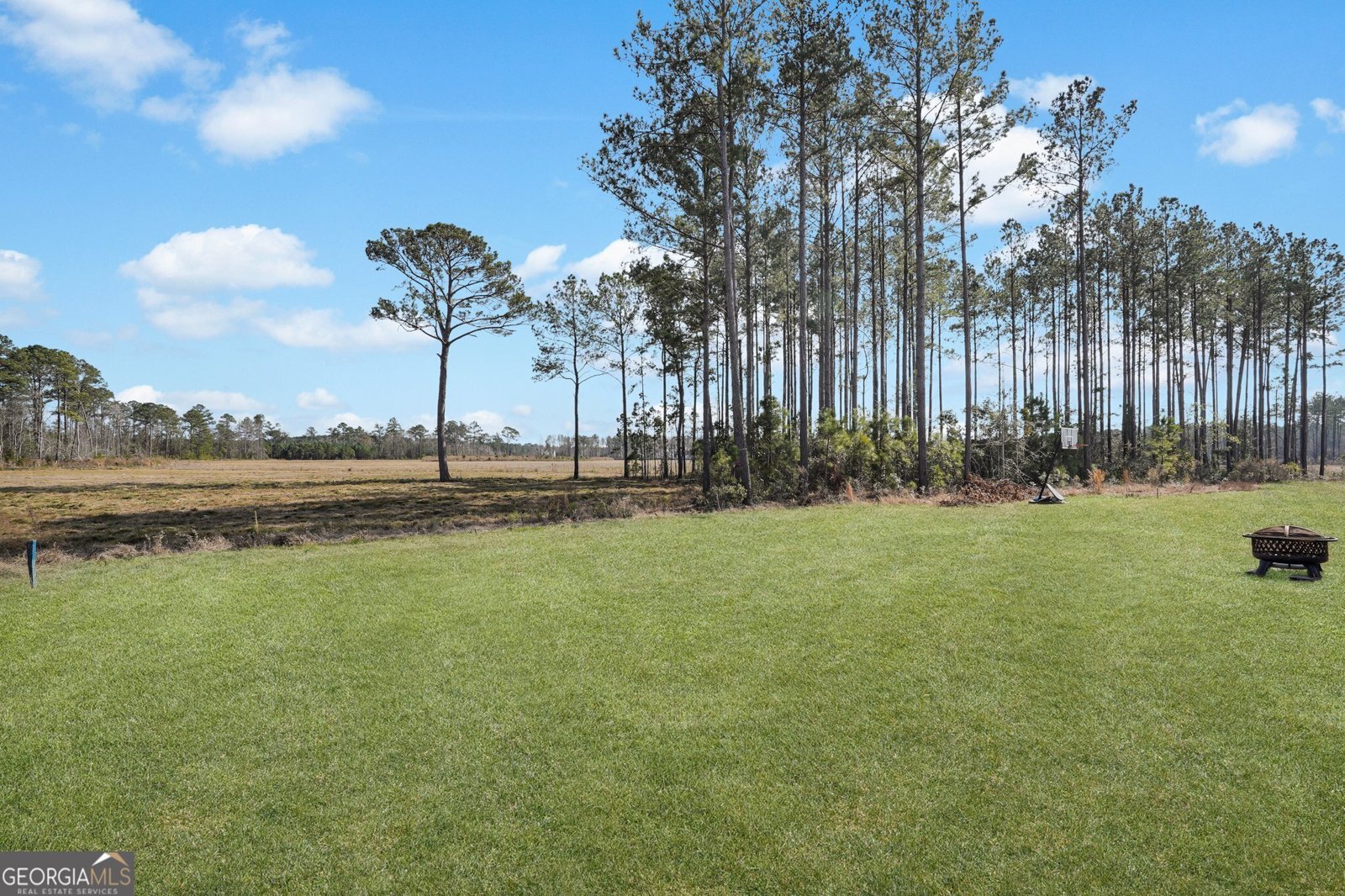 268 Loblolly Lane Richmond Hill - 67