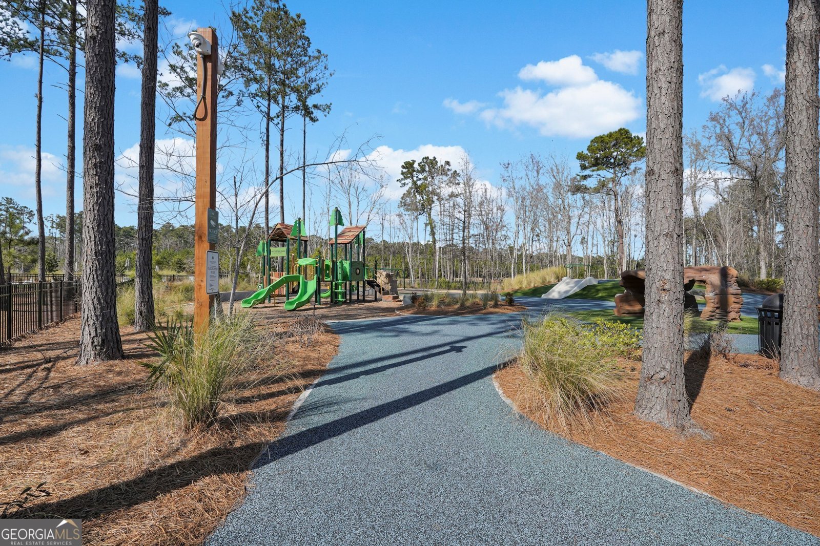 268 Loblolly Lane Richmond Hill - 70