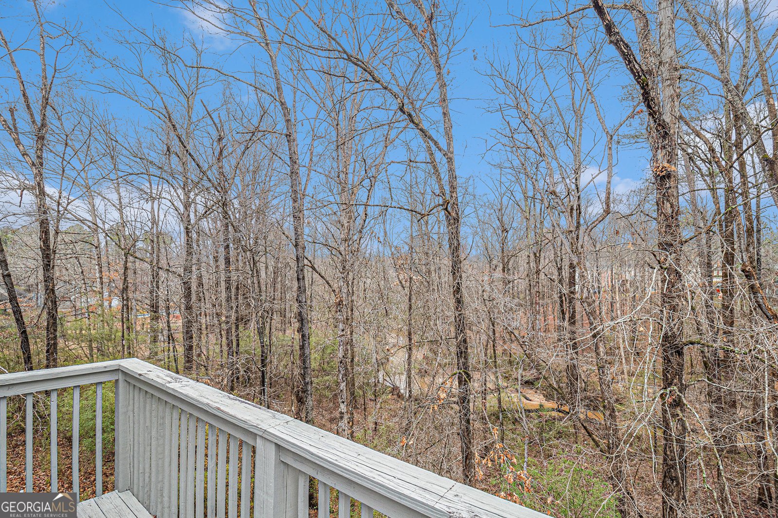 1320 Kay Terrace Conyers - 29
