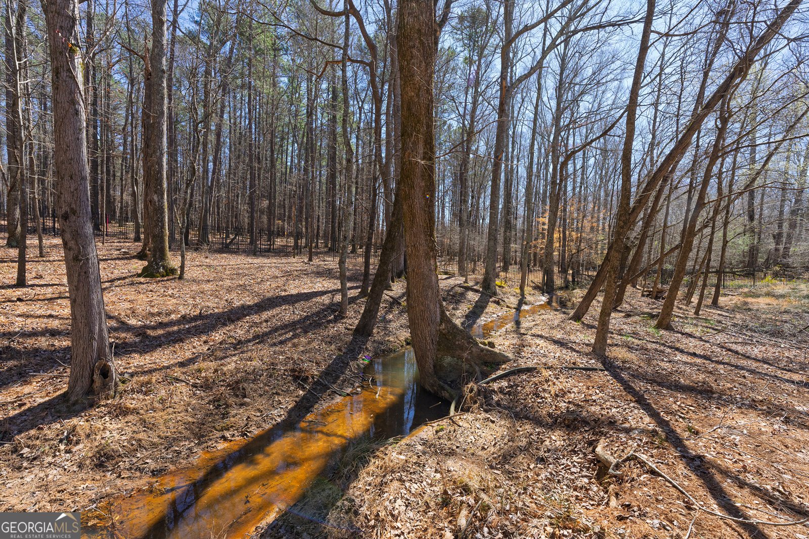 300 Annelise Park Drive Fayetteville - 172